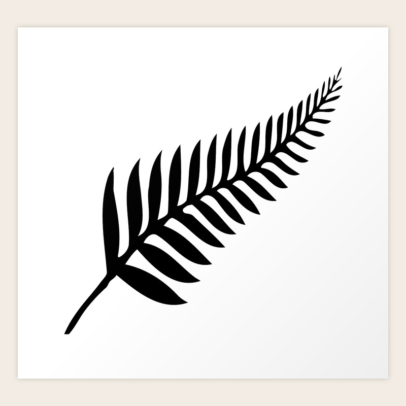 Silver Fern Of New Zealand Art Print By Homestead Digital Society6