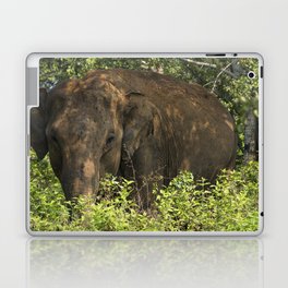 Sri Lanka Elephant Laptop Skin