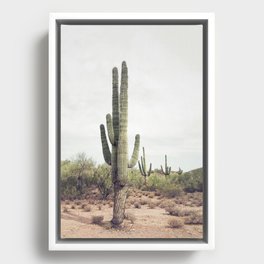 Desert Cactus Framed Canvas