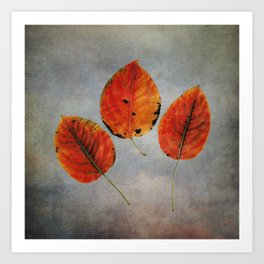  Three leaves against a moody sky I Art Print