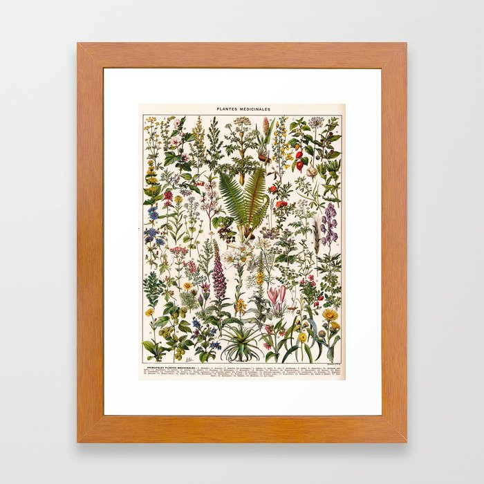 Adolphe Millot - Plantes Medicinales B - French vintage poster Framed Art Print
