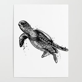 Sea turtle black and white drawing Poster