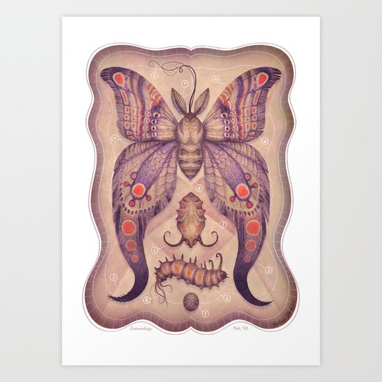 Entomology Tab. VI Art Print