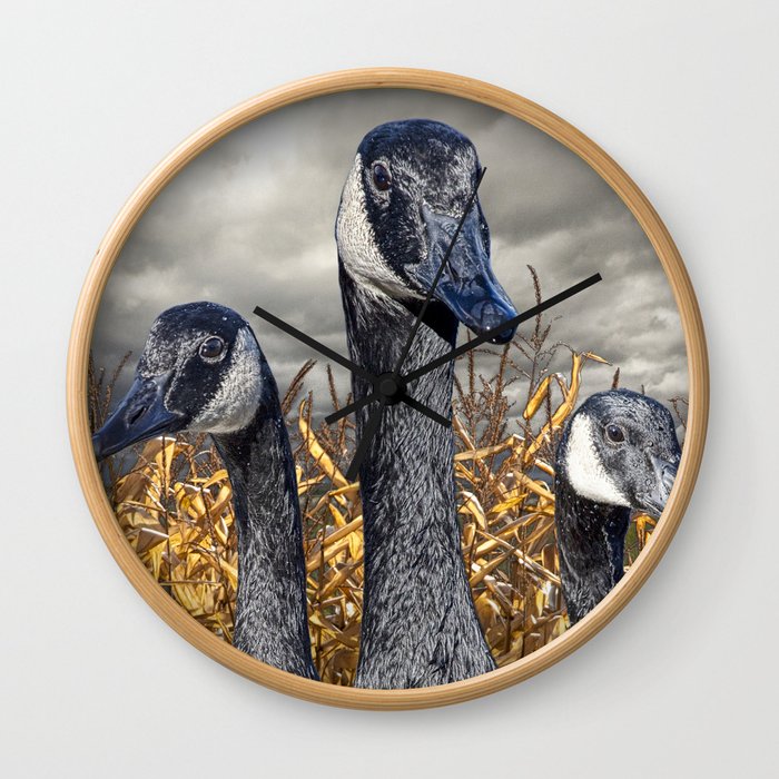 Three Canada Geese in an Autumn Cornfield Wall Clock