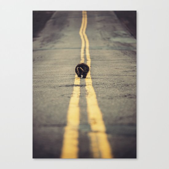 Walk the Line Canvas Print