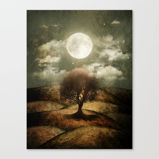 Once upon a time... The lone tree. Canvas Print