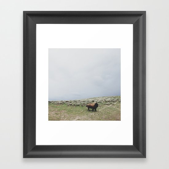Hillside Bison Framed Art Print
