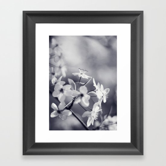 Pear Blossoms in Black and White Framed Art Print
