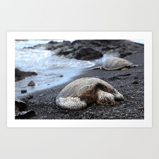 Turtle Art Print