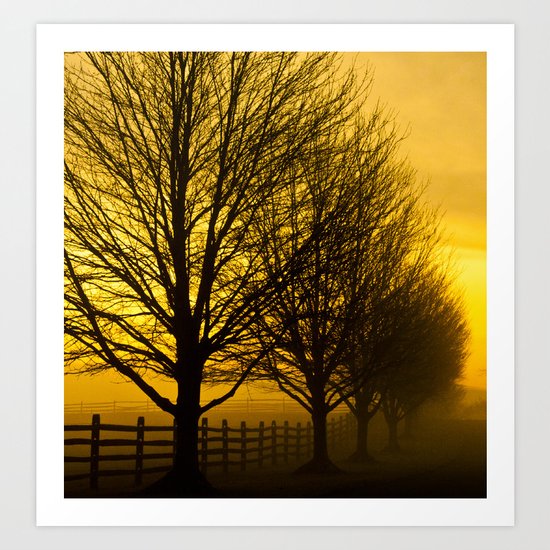 Morning Mist Art Print