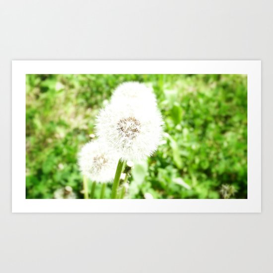 DANDELION Art Print