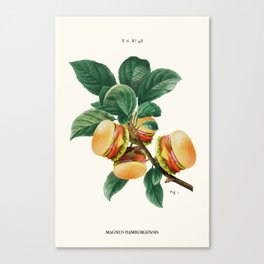 BURGER PLANT Canvas Print