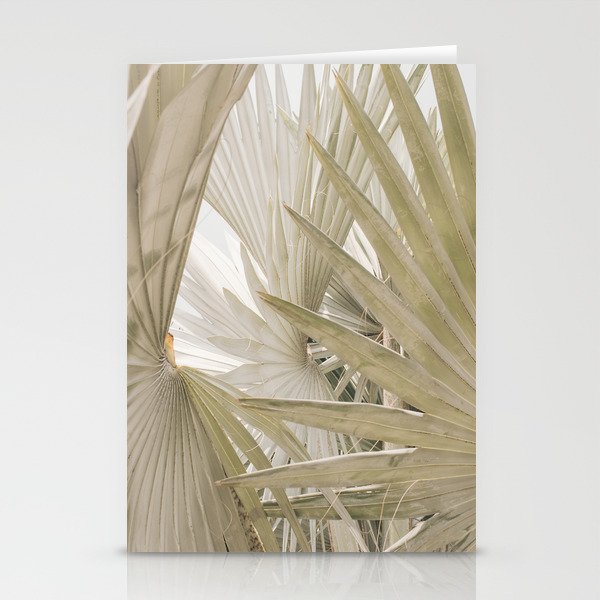 Tropical Plants - Silver Palm Photography Stationery Cards