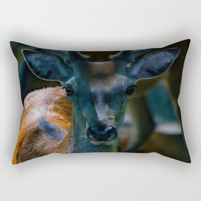 The Buck (Color) Rectangular Pillow