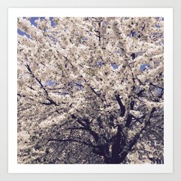 Tree in bloom Art Print | Love, Nature, Photo, Vintage 