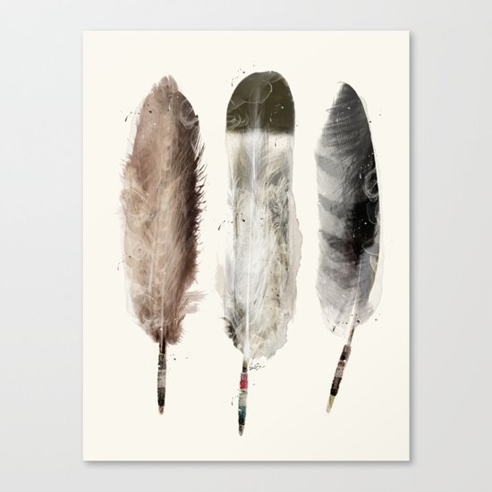 native feathers Canvas Print