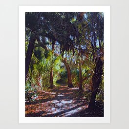 Coral Trail Art Print