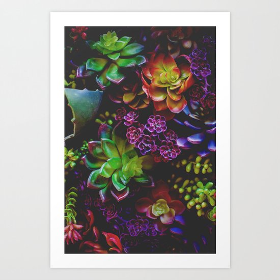 Treasure of Nature VI Art Print