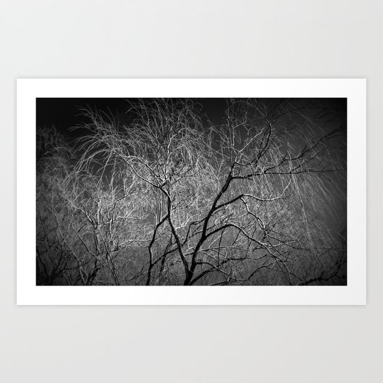 Black and White Art Print