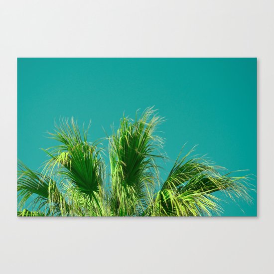 Palms on Turquoise Canvas Print