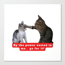 Power vested Canvas Print