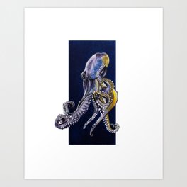 Cephalopod Art Print
