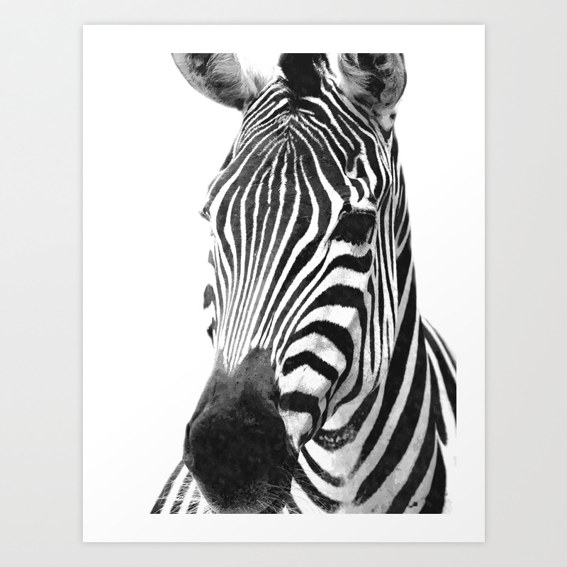 society6