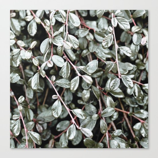 Rain #society6 #decor #buyart Canvas Print