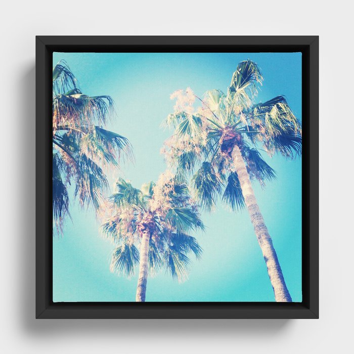 Palm Trees Framed Canvas