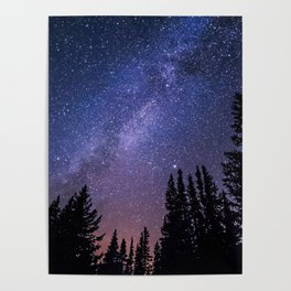 Trees and Stars Poster