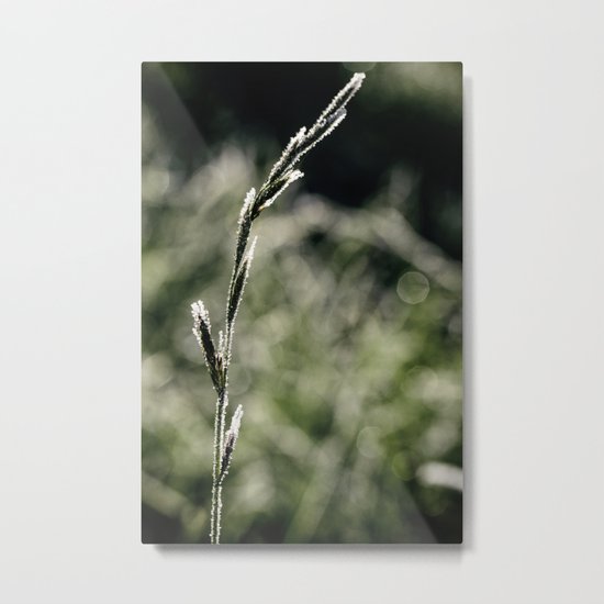 frosted Metal Print