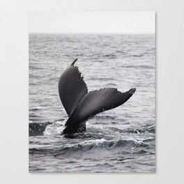 Diving Deep Canvas Print