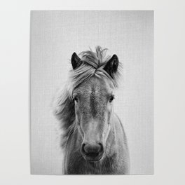 Wild Horse - Black & White Poster
