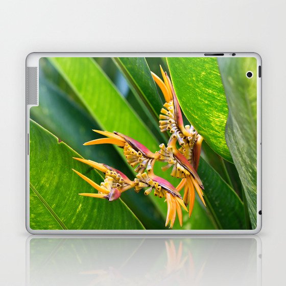 Beautiful Helicon Flower Blooming With Palms Leaves Laptop & iPad Skin