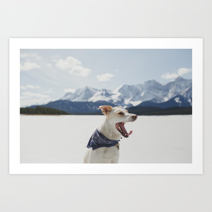 mountain dog Art Print