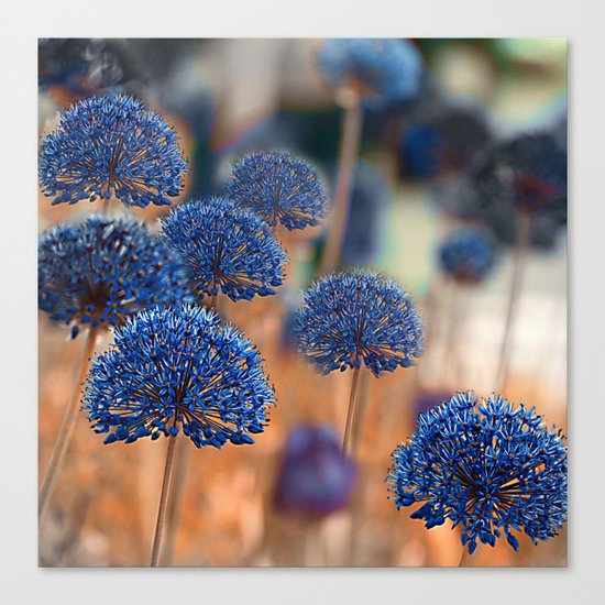 Blue ball flowers. Canvas Print