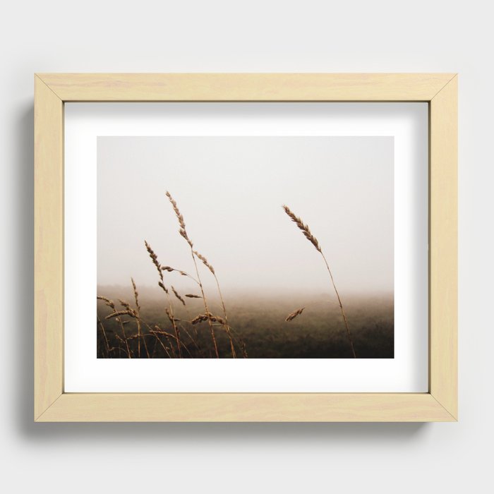 Grasses in the Mist Recessed Framed Print