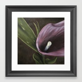 Purple Calla Framed Art Print