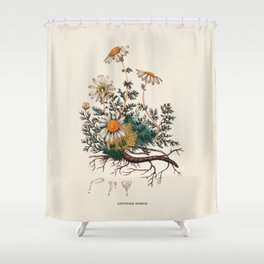 Camomile Antique Botanical Illustration Shower Curtain