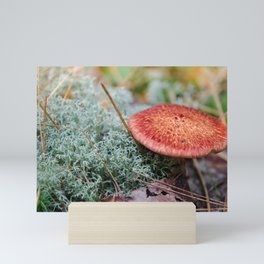 Hidden Under Pines Mini Art Print