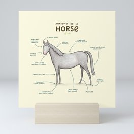 Anatomy of a Horse Mini Art Print