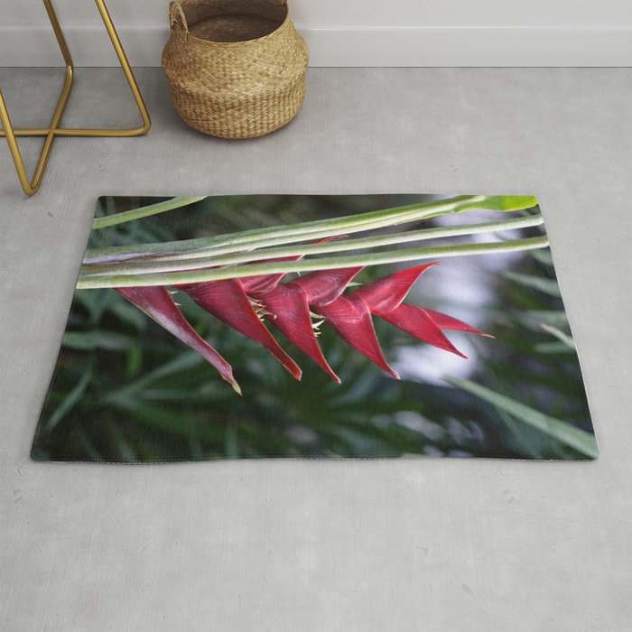 Exotic Red Helicon Flower Rug