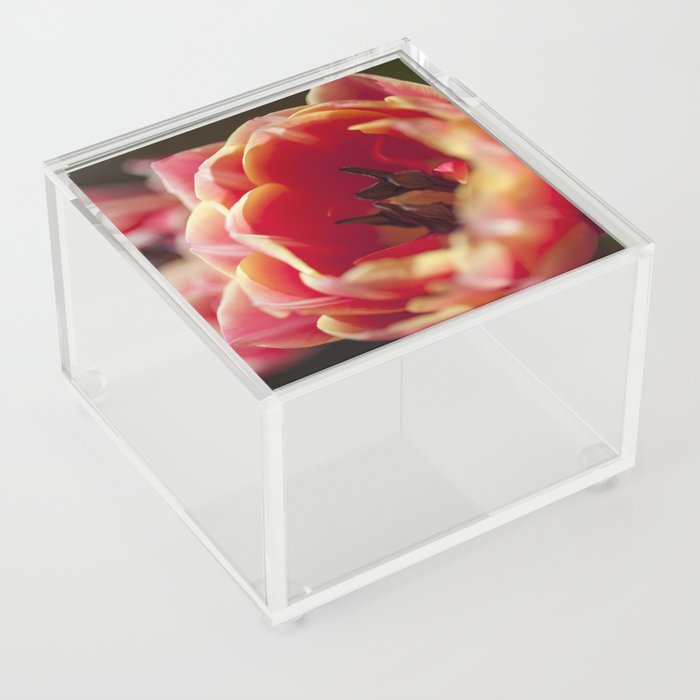 peach tulips Acrylic Box