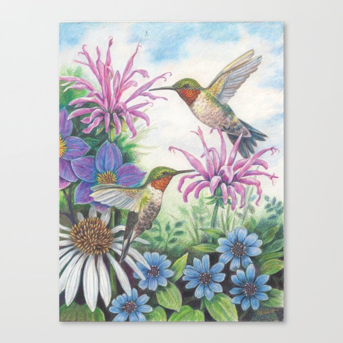 Hummingbird and Bergamot Canvas Print