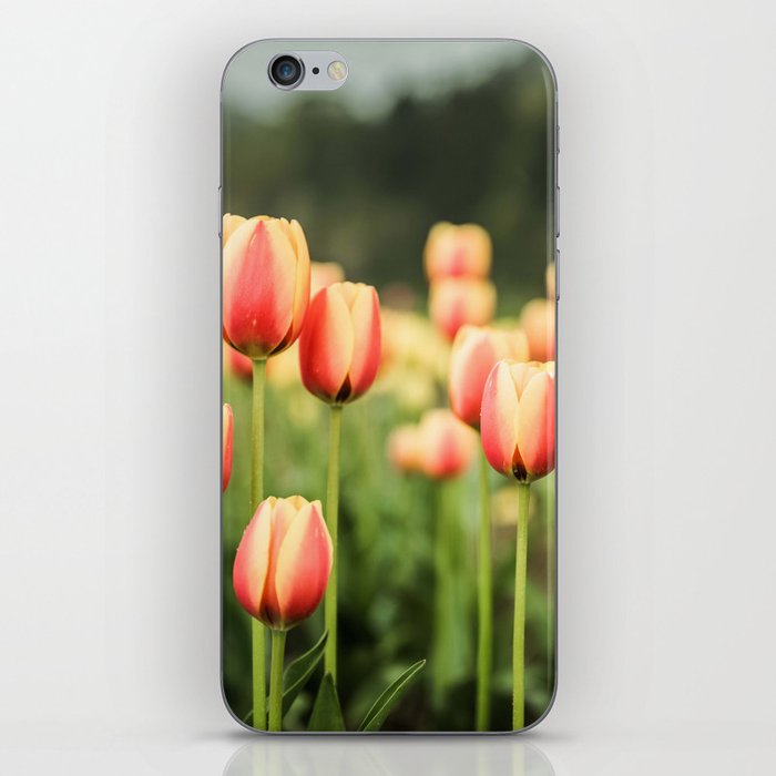 Orange Tulips iPhone Skin