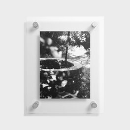 Photo of an old well at an Dutch farm in the Netherlands | Black & White Travel Photography | Fine Art Photo Print Floating Acrylic Print
