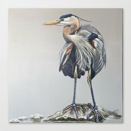 Blue  Heron Canvas Print