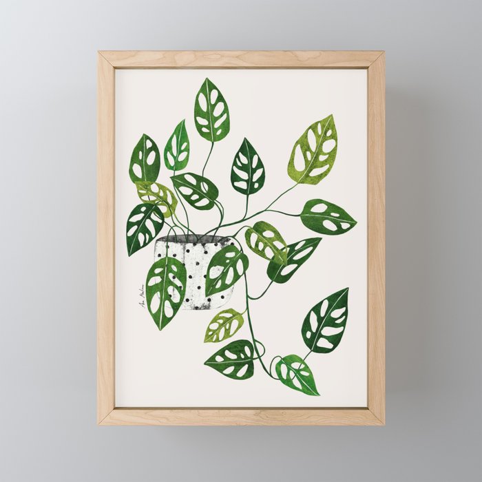Monstera obliqua interior plant Framed Mini Art Print