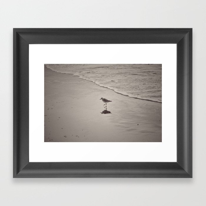 Bird on the beach Framed Art Print