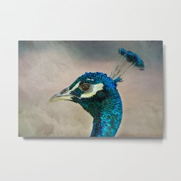Peacock head against brush stroke textured background Metal Print